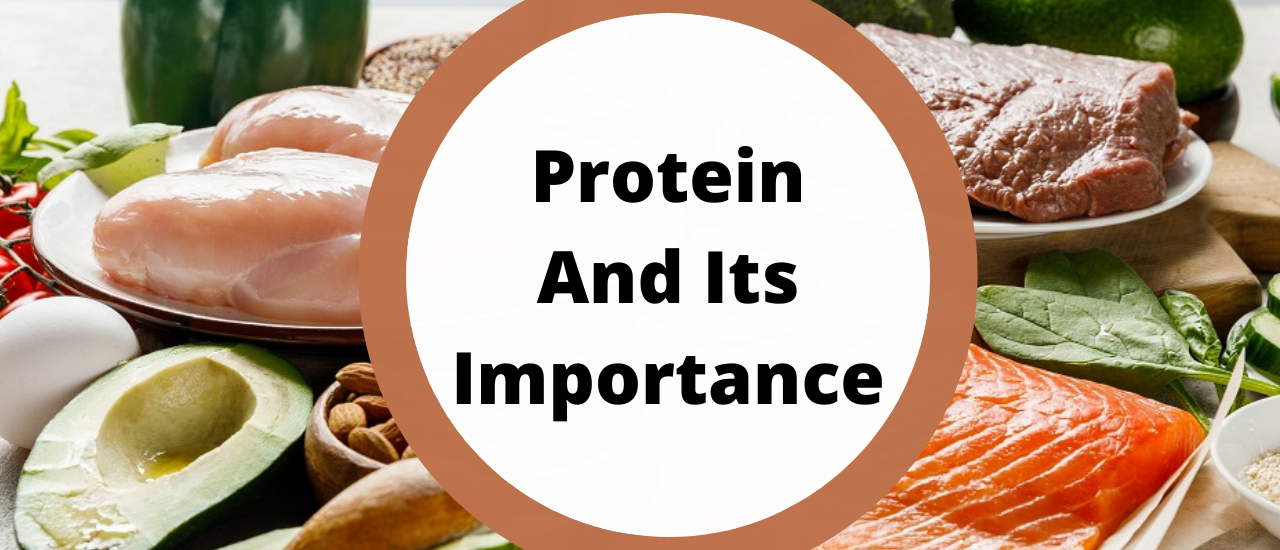 sehatnagar-protein-and-its-importance