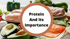 sehatnagar-protein-and-its-importance