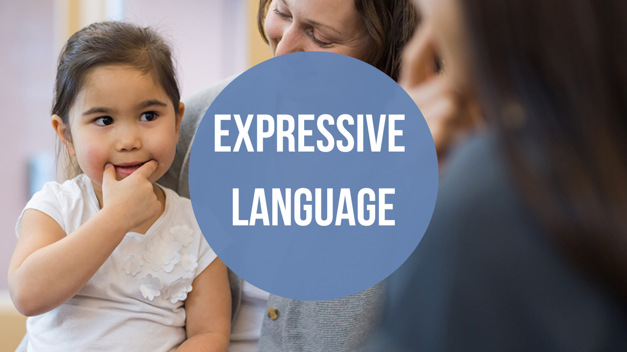 expressive-language-disorder-types-risk-factors-sehat-nagar