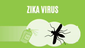 sehatnagar-mosquitos-zika-virus-tips-for-healthy-living-lifestyle