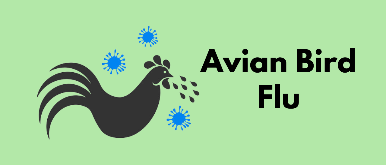 sehatnagar-bird-flu-tips-for-healthy-living-lifestyle