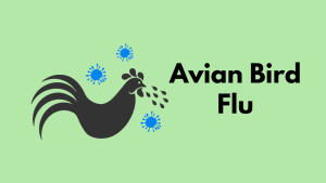 sehatnagar-bird-flu-tips-for-healthy-living-lifestyle