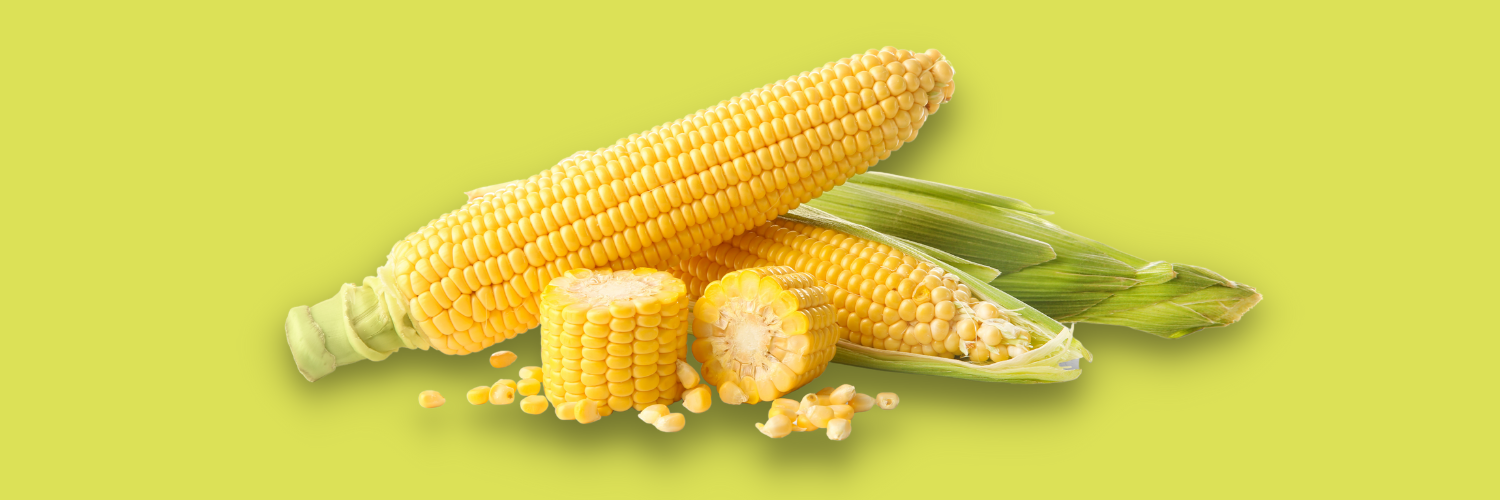 Is-sweet-corn-good-for-weight-loss-sehatnagar-com