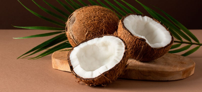 Coconut-Allergy-sehatnagar-com