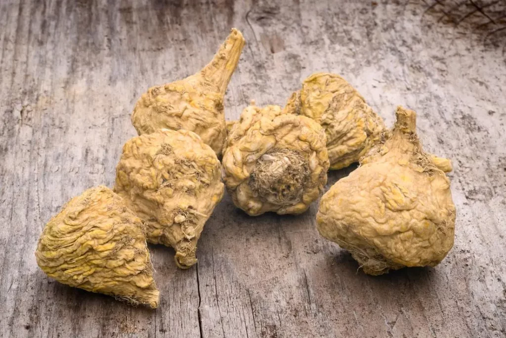 maca-root-Herb-To-Boost-Testosterone