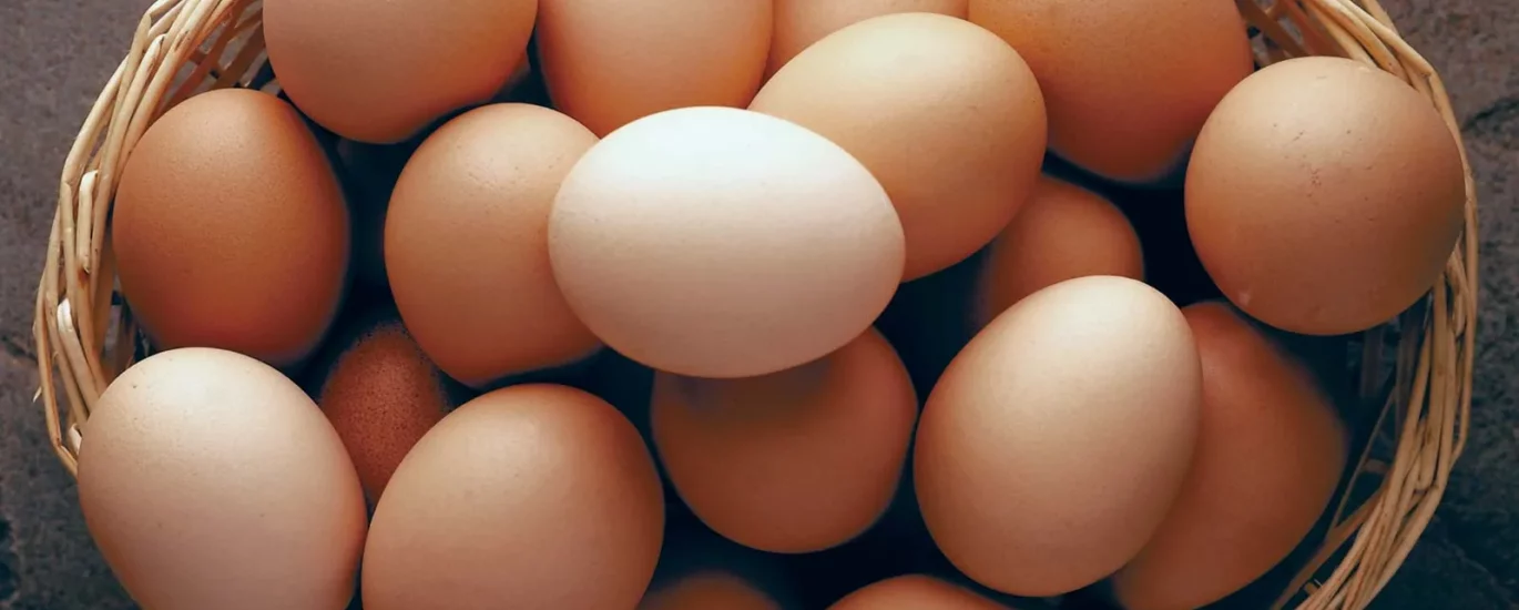 egg-recipes-for-weight-loss-sehatnagar-com