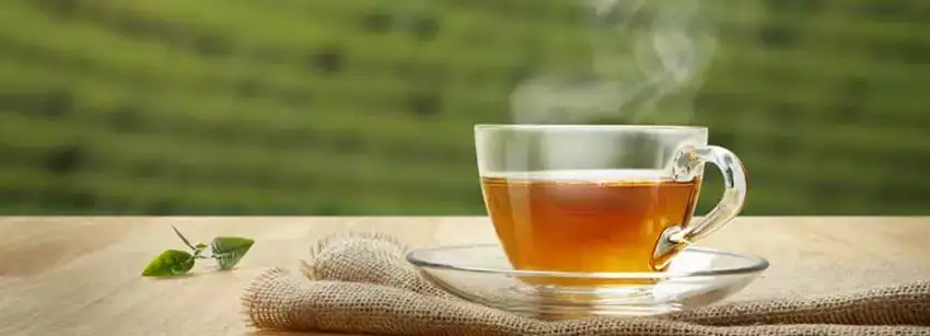 green-tea-sehatnagar-com