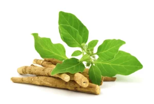 is-ashwagandha-good-for-diabetes-patient