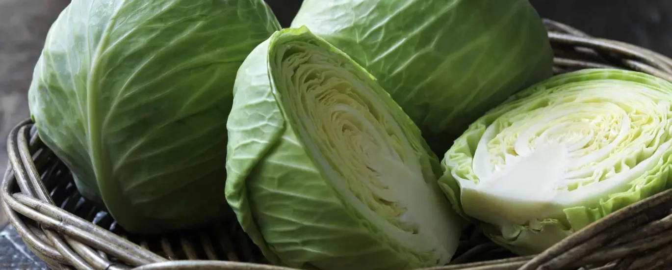 is-cabbage-good-for-weight-loss