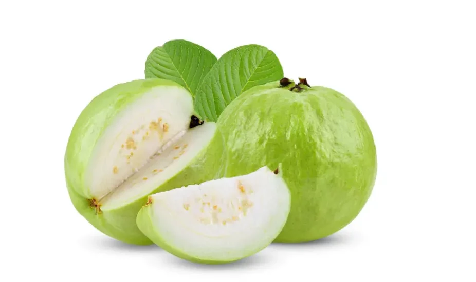 is-guava-good-for-weight-loss-sehatnagar-com