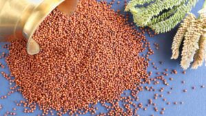 is-ragi-good-for-weight-loss-sehatnagar-com