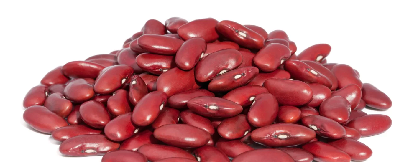is-rajma-good-for-weight-loss